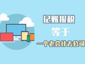 新洲区代理记账与税务咨询 助力武汉会计审计与会计咨询专业化发展
