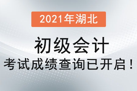 湖北宜昌初级会计职称成绩查询与会计咨询指南